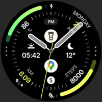 Polar Analog: Watch face